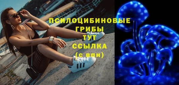 дурь Балахна