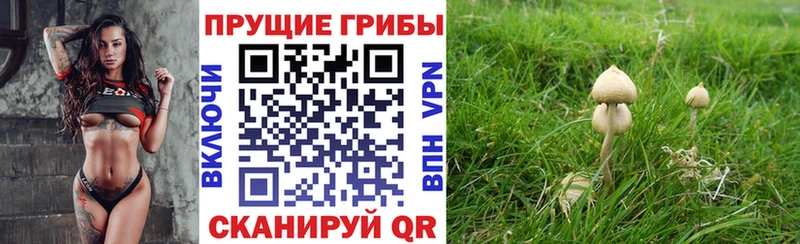 Псилоцибиновые грибы Magic Shrooms  Нижний Ломов 